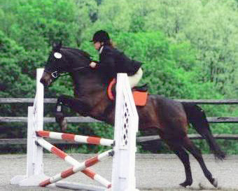 Adelasia and her bio-horse, Bear, mid-jump